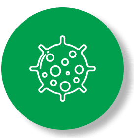 Kauai Mold Water Fire A green button with an image of a virus.