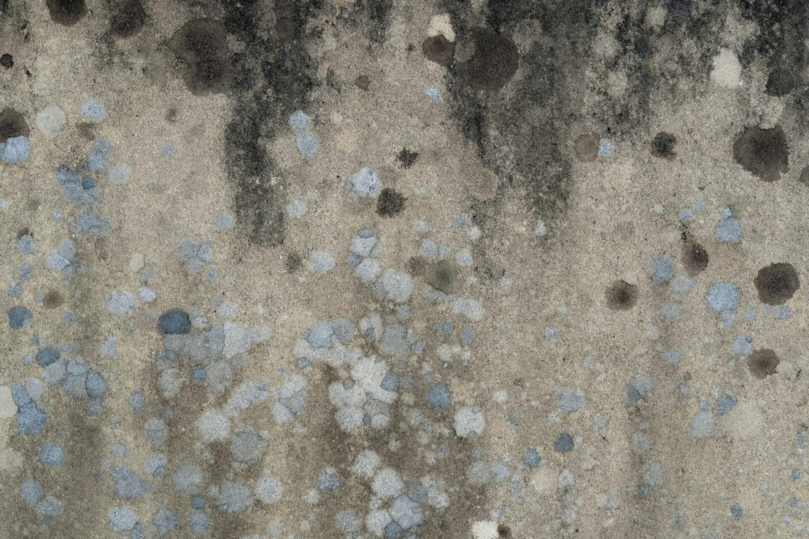 Kauai Mold Water Fire A close up of the ground with different colors